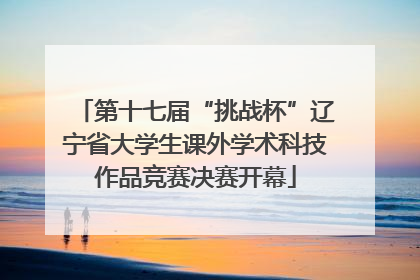 第十七届“挑战杯”辽宁省大学生课外学术科技作品竞赛决赛开幕