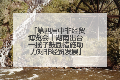第四届中非经贸博览会丨湖南出台一揽子鼓励措施助力对非经贸发展