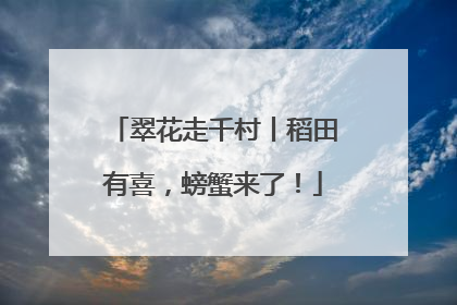 翠花走千村丨稻田有喜，螃蟹来了！