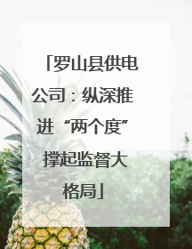 罗山县供电公司：纵深推进“两个度” 撑起监督大格局