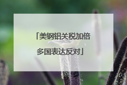 美钢铝关税加倍 多国表达反对