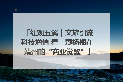 红观五溪｜文旅引流 科技增值 看一颗杨梅在靖州的“商业觉醒”