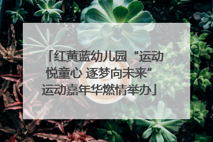 红黄蓝幼儿园“运动悦童心 逐梦向未来”运动嘉年华燃情举办