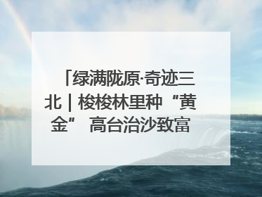 绿满陇原·奇迹三北｜梭梭林里种“黄金” 高台治沙致富很“从容”