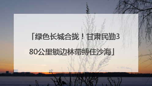 绿色长城合拢！甘肃民勤380公里锁边林带缚住沙海