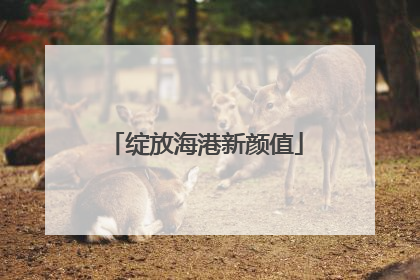 绽放海港新颜值