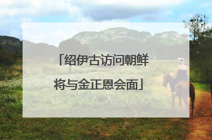 绍伊古访问朝鲜 将与金正恩会面