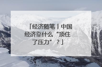 经济随笔丨中国经济靠什么“顶住了压力”？