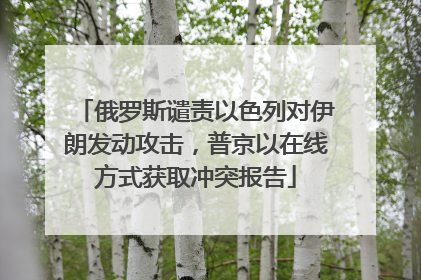 俄罗斯谴责以色列对伊朗发动攻击，普京以在线方式获取冲突报告