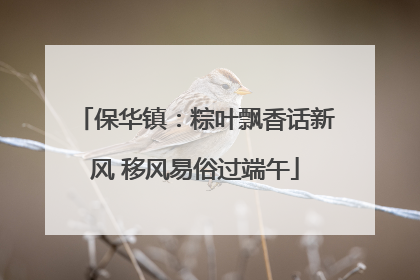 保华镇：粽叶飘香话新风 移风易俗过端午
