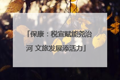 保康：税宣赋能尧治河 文旅发展添活力
