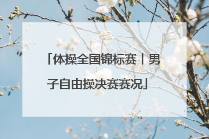 体操全国锦标赛丨男子自由操决赛赛况