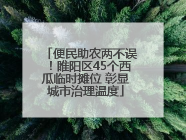 便民助农两不误！睢阳区45个西瓜临时摊位 彰显城市治理温度