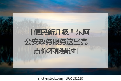 便民新升级！东阿公安政务服务这些亮点你不能错过