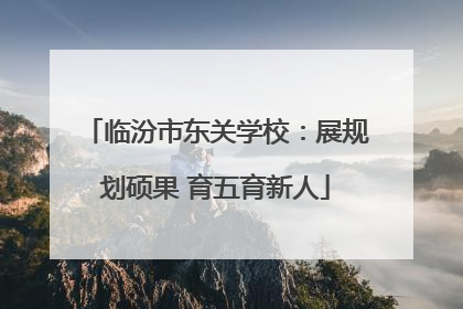 临汾市东关学校：展规划硕果 育五育新人