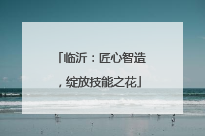 临沂：匠心智造，绽放技能之花