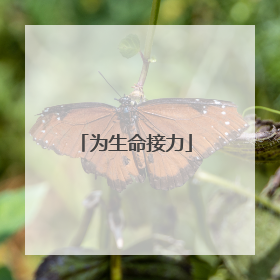 为生命接力