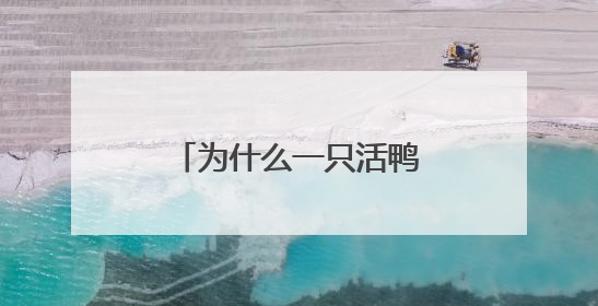 为什么一只活鸭上百元，一只烤鸭只要25元？