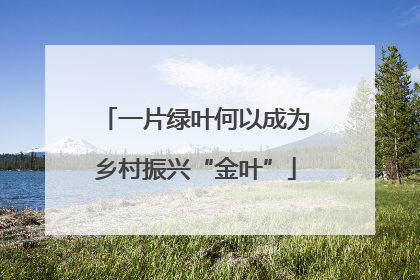 一片绿叶何以成为乡村振兴“金叶”