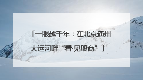 一眼越千年：在北京通州大运河畔“看·见殷商”