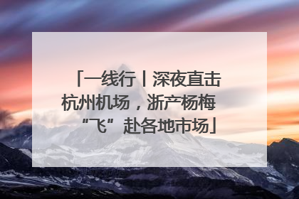 一线行丨深夜直击杭州机场，浙产杨梅“飞”赴各地市场
