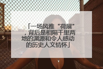 一场风雅“荷展”，背后是相隔千里两地的渊源和令人感动的历史人文情怀