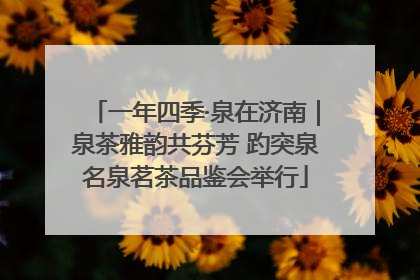 一年四季·泉在济南｜泉茶雅韵共芬芳 趵突泉名泉茗茶品鉴会举行