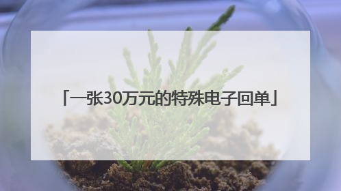一张30万元的特殊电子回单