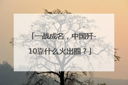 一战成名，中国歼-10靠什么火出圈？