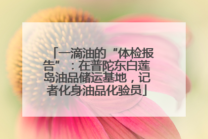 一滴油的“体检报告”：在普陀东白莲岛油品储运基地，记者化身油品化验员