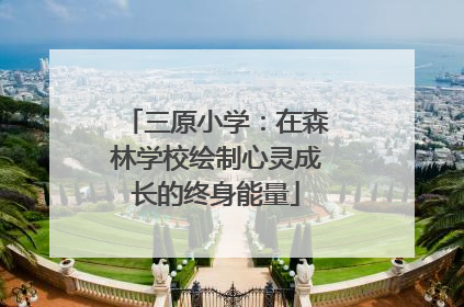 三原小学：在森林学校绘制心灵成长的终身能量