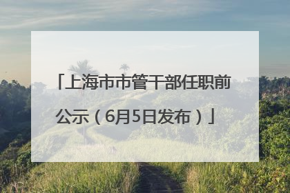 上海市市管干部任职前公示（6月5日发布）