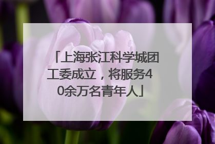上海张江科学城团工委成立，将服务40余万名青年人