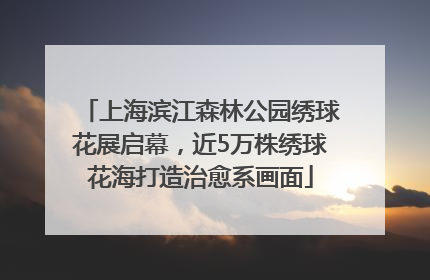 上海滨江森林公园绣球花展启幕，近5万株绣球花海打造治愈系画面