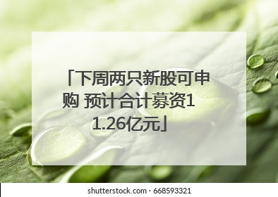 下周两只新股可申购 预计合计募资11.26亿元
