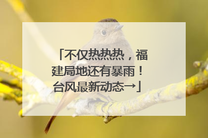 不仅热热热，福建局地还有暴雨！台风最新动态→