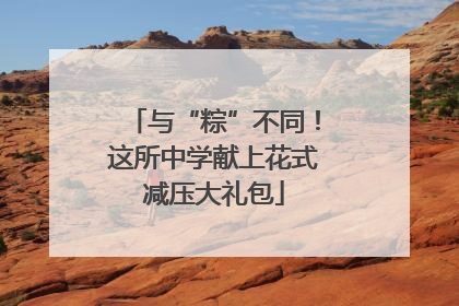 与“粽”不同！这所中学献上花式减压大礼包