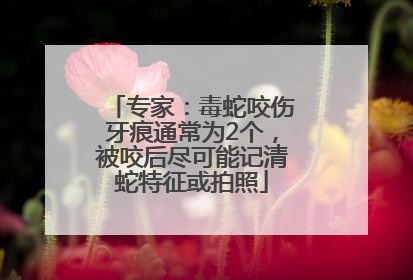 专家：毒蛇咬伤牙痕通常为2个，被咬后尽可能记清蛇特征或拍照