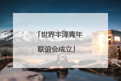 世界丰泽青年联谊会成立