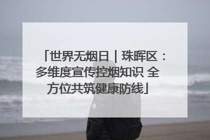 世界无烟日｜珠晖区：多维度宣传控烟知识 全方位共筑健康防线