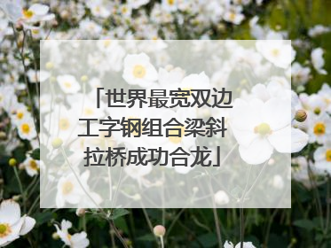 世界最宽双边工字钢组合梁斜拉桥成功合龙
