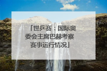 世乒赛：国际奥委会主席巴赫考察赛事运行情况