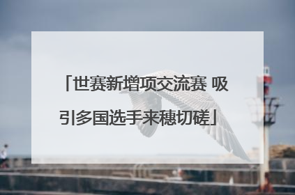 世赛新增项交流赛 吸引多国选手来穗切磋