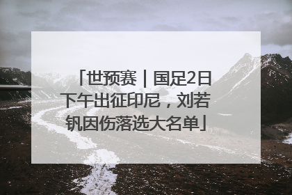 世预赛｜国足2日下午出征印尼，刘若钒因伤落选大名单