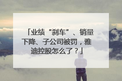 业绩“刹车”、销量下降、子公司被罚，雅迪控股怎么了？