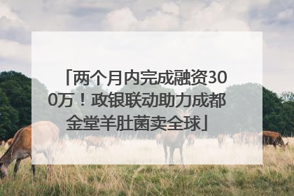 两个月内完成融资300万！政银联动助力成都金堂羊肚菌卖全球