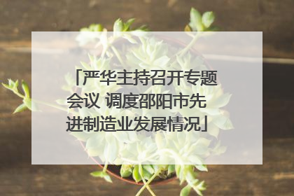 严华主持召开专题会议 调度邵阳市先进制造业发展情况