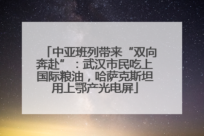 中亚班列带来“双向奔赴”：武汉市民吃上国际粮油，哈萨克斯坦用上鄂产光电屏