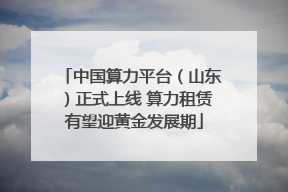 中国算力平台（山东）正式上线 算力租赁有望迎黄金发展期