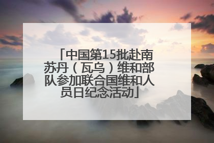 中国第15批赴南苏丹（瓦乌）维和部队参加联合国维和人员日纪念活动